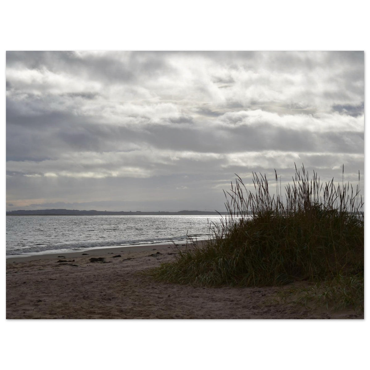 cc35834e-cf90-4827-b9dd-9313fd23479f