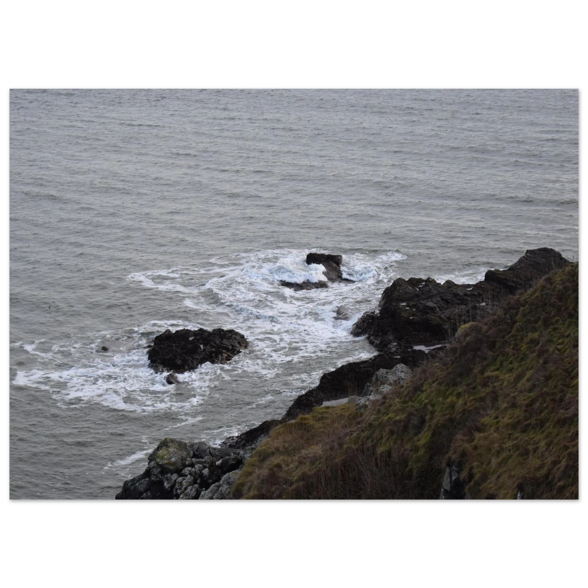 cc844b9f-ecfb-4d04-b394-2ad41b2f1b19