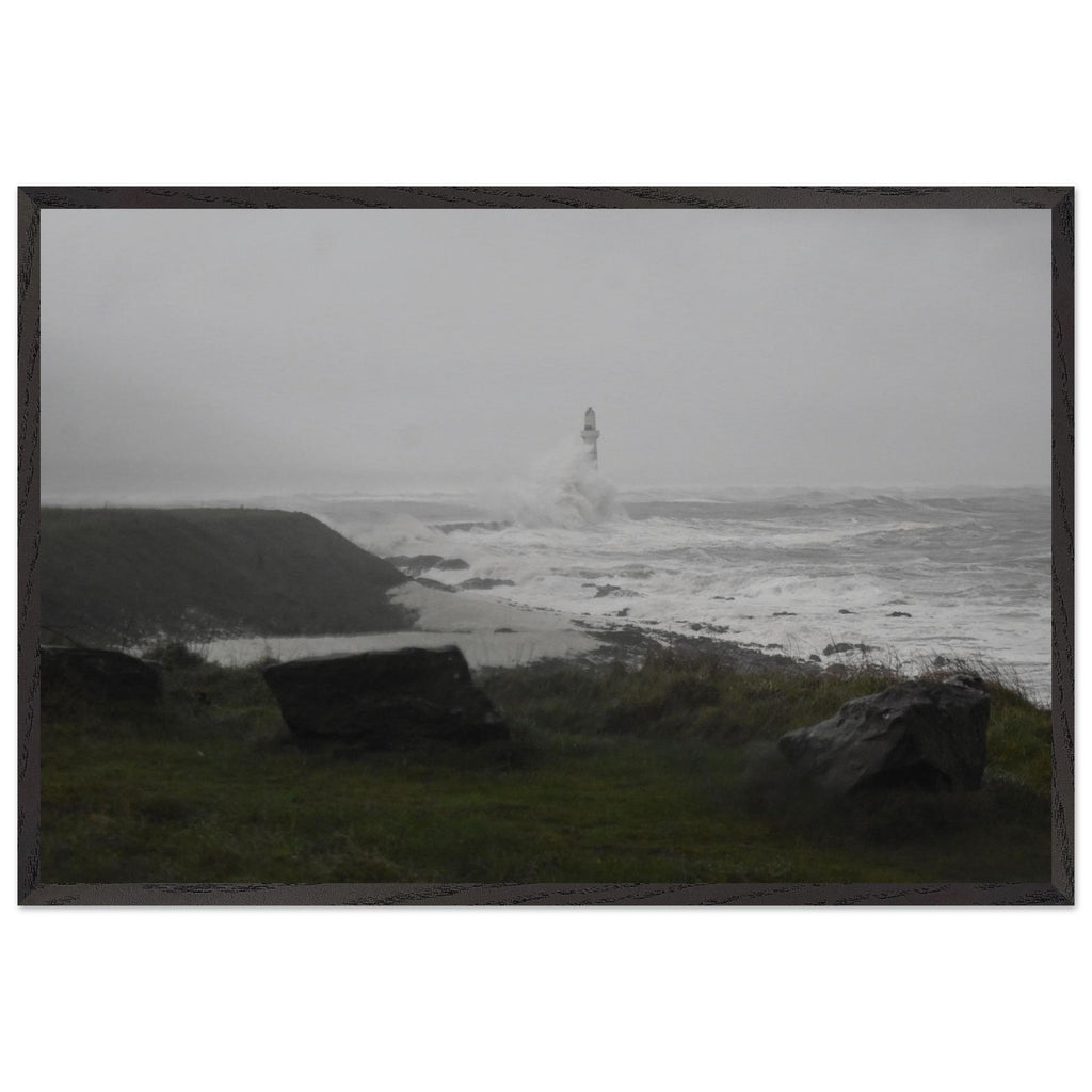 d1736219-7896-4e3b-abff-3388feba4c13
