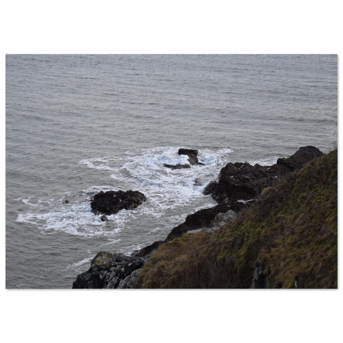 d4cf0e9d-3201-4eca-bec0-15536a65bf60