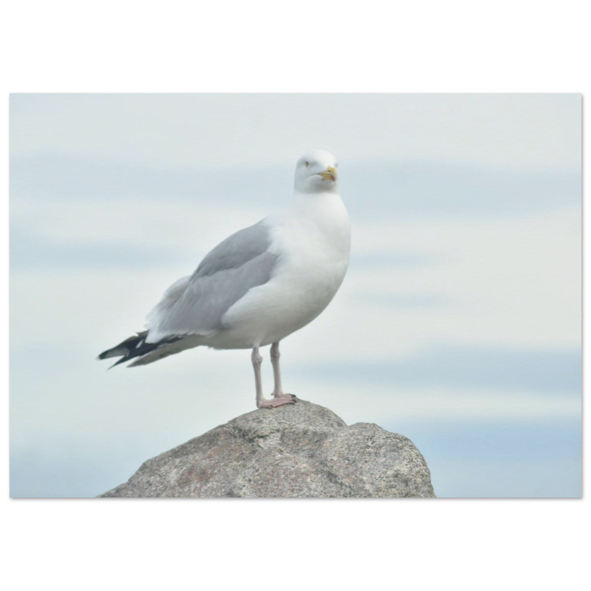 d7663cbb-cc12-454b-b92a-6308e62fc693