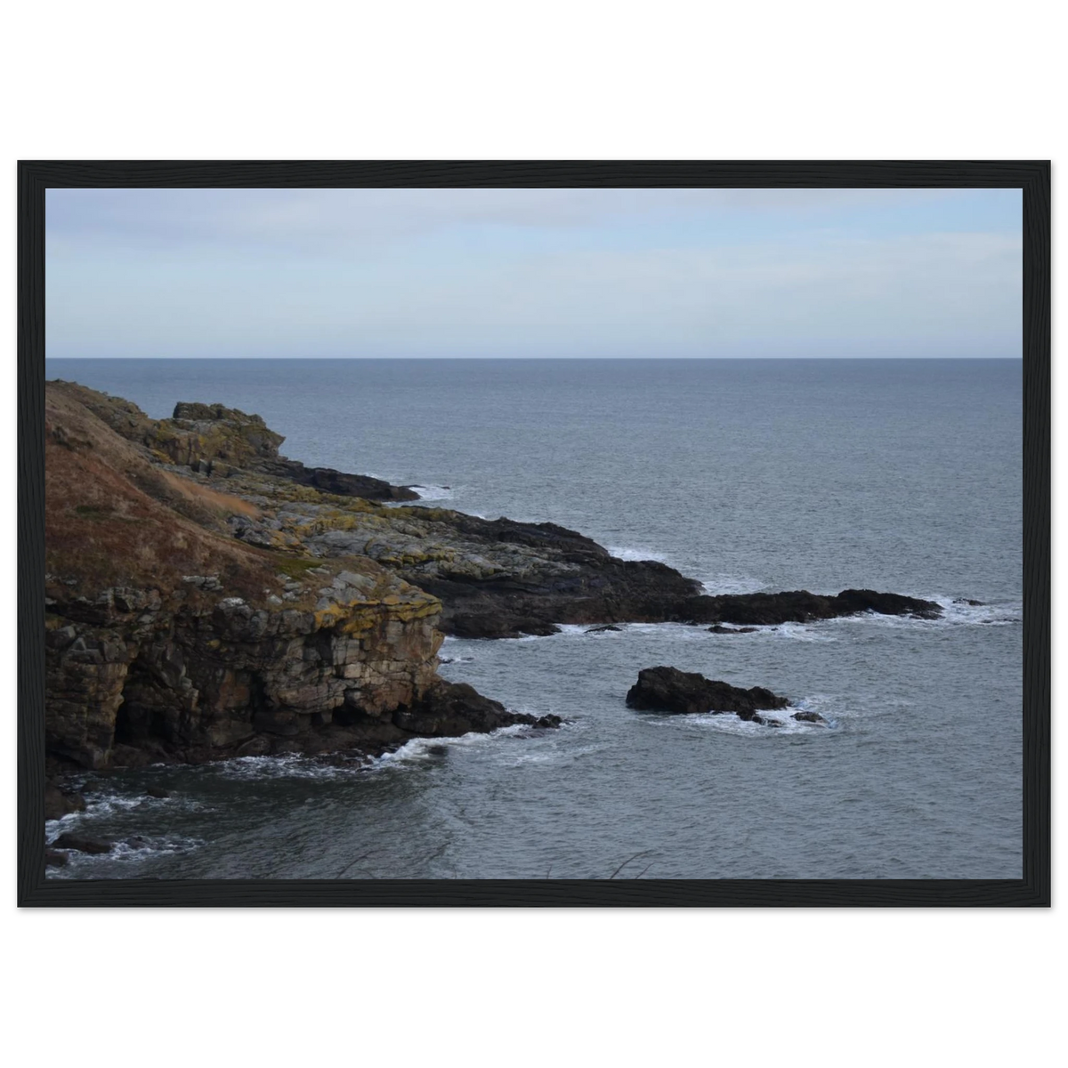 d800a9bb-1839-44b4-9f57-2ee4a6bc6b87