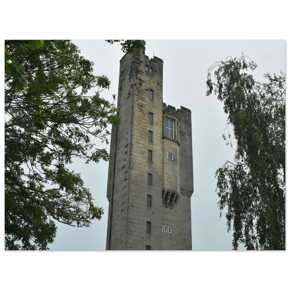 db939627-7804-4410-9309-c9783f94ba31