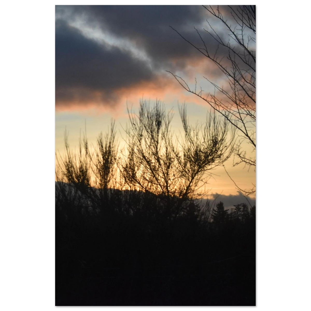 dc066104-617d-4b84-a880-c83970d42b73
