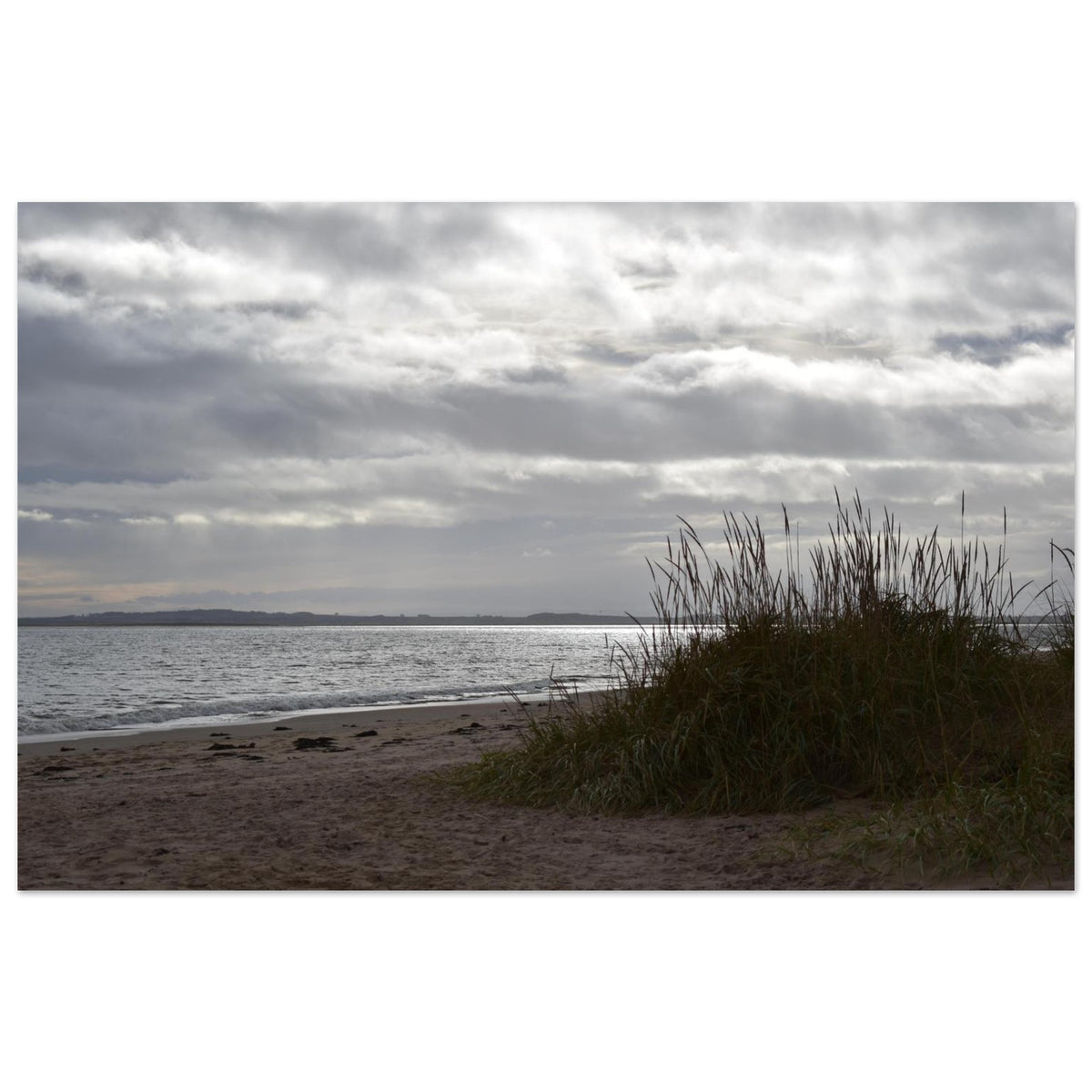 e6f94485-4deb-4482-a449-ef16c77a377a