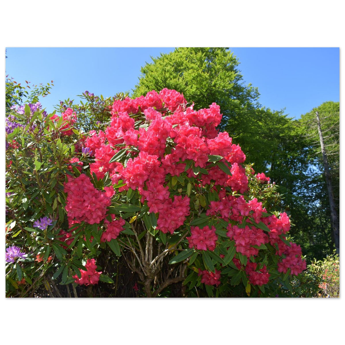 e8d77631-1df0-4972-843d-243964c5f9b7