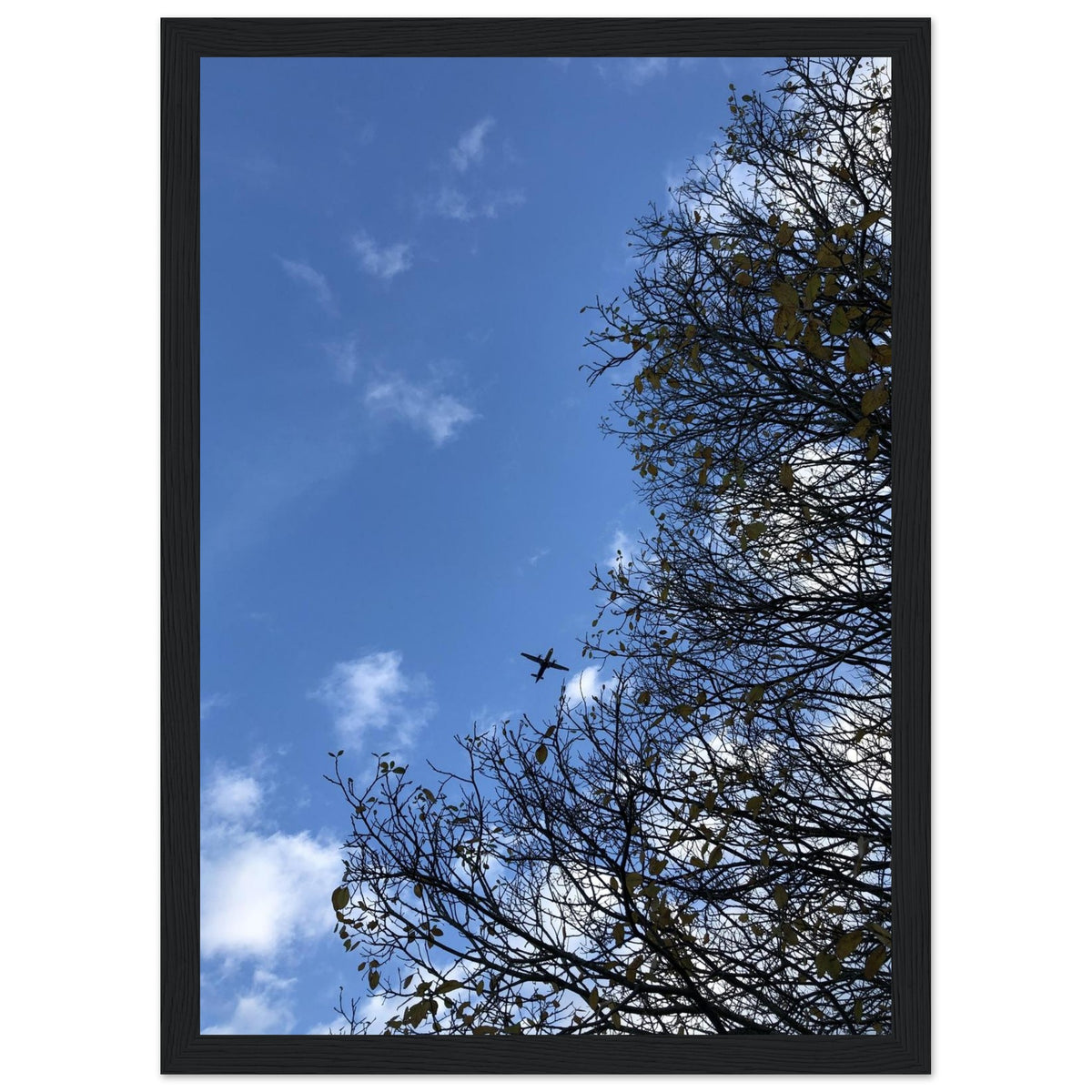 e957103f-bb18-43c0-b17a-9656e73a4c84