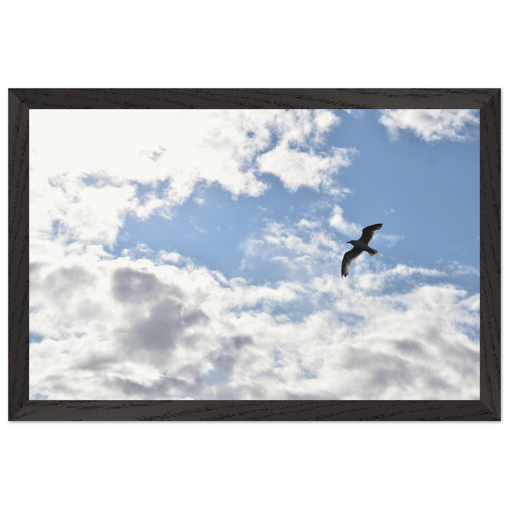 eb07d410-67de-485c-a9f5-9ad92af02500