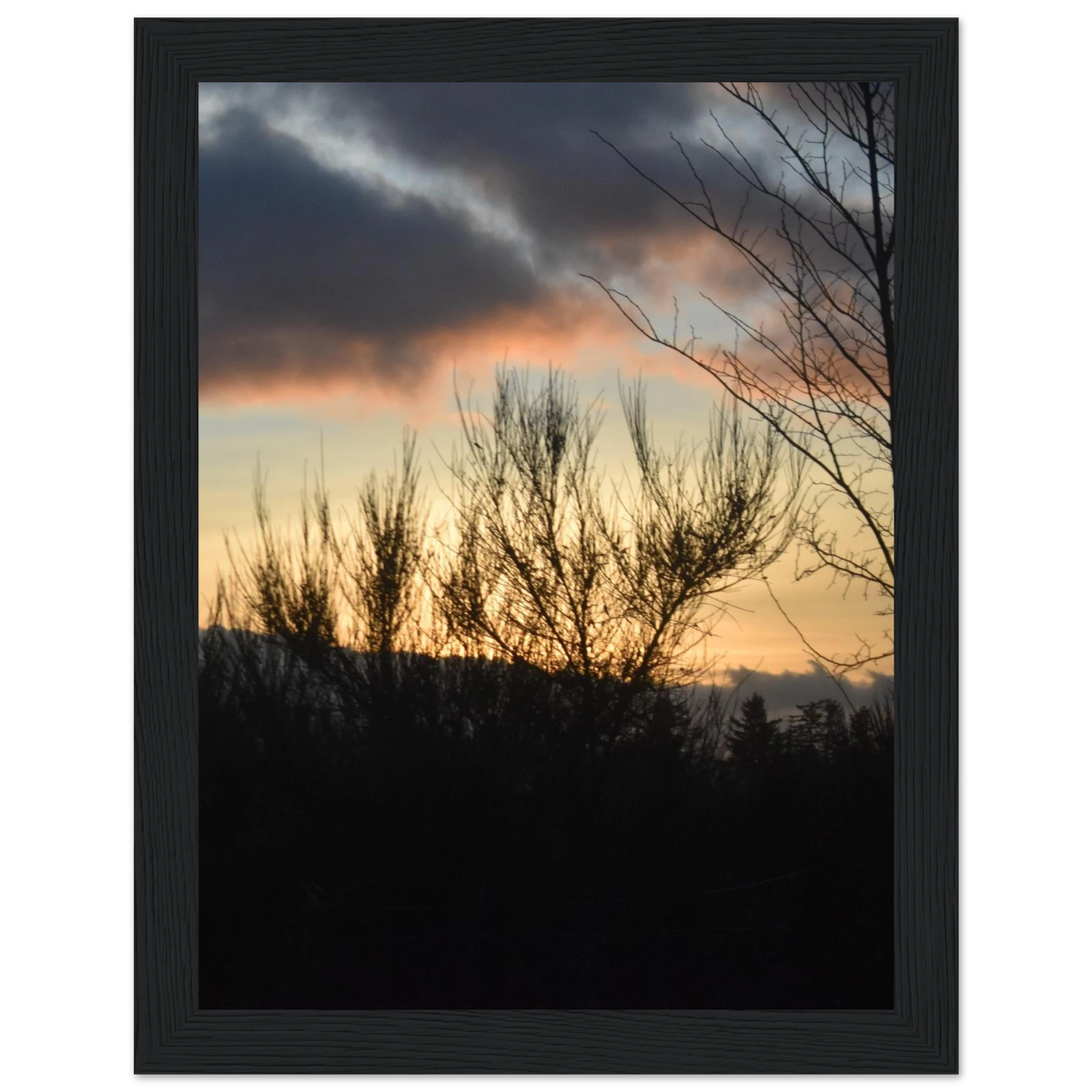 ef5cdebd-f0ef-4a71-84b0-70a705156a16