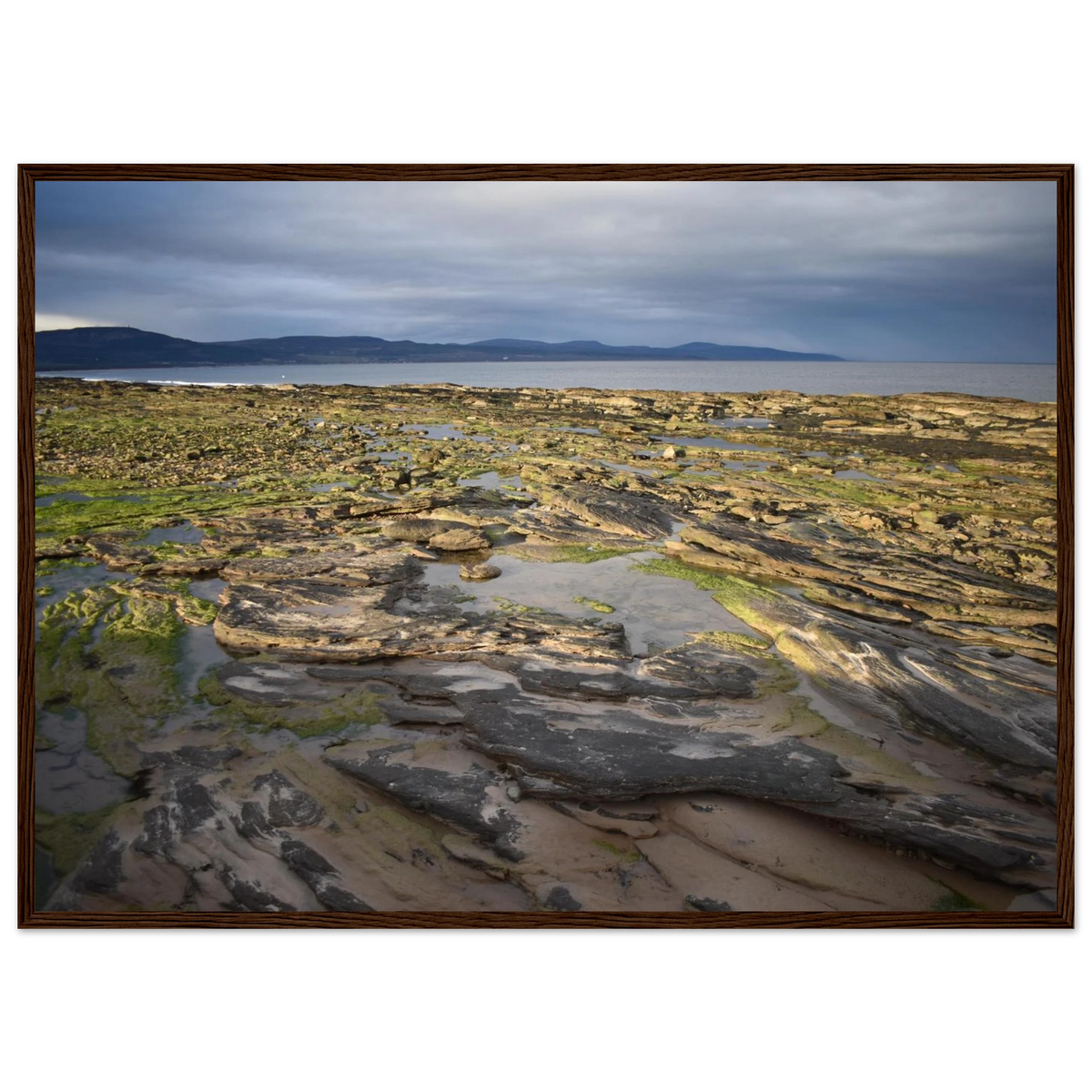 f6414100-6142-4b65-bb95-ab7b723f1b41
