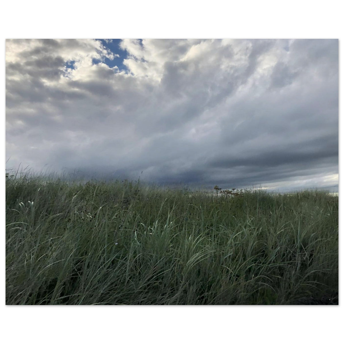 f7d595ed-17f7-4338-9a42-ba3c681bf277