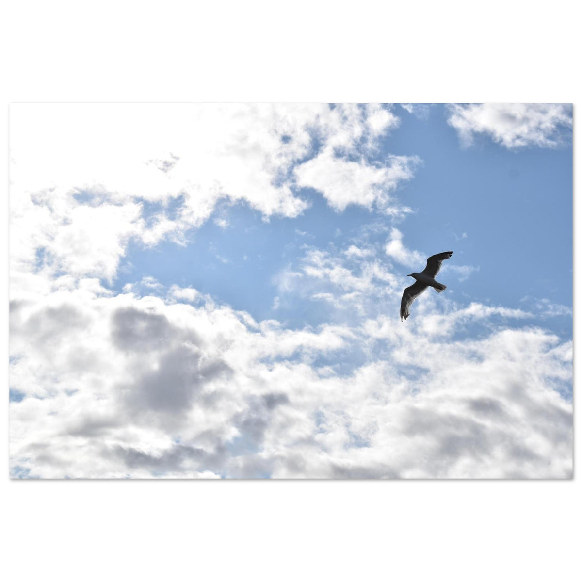 f8935f92-11d8-44b4-8cd5-ea2f6d33aa22